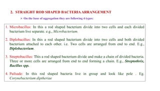 Microbacillus chapter 4.bicterial structure and functionpptx | PPTX