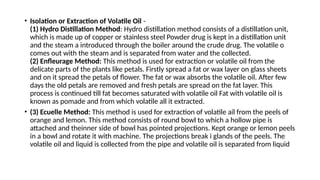 Eucelle Method Chemical Nature of crude drugs ( secondary metabolites) | PPTX