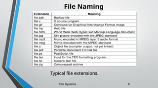 File Naming
Typical file extensions.
File Systems 6
 