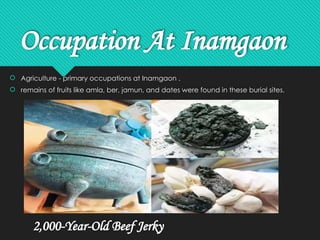 Occupation At Inamgaon
 Agriculture - primary occupations at Inamgaon .
 remains of fruits like amla, ber, jamun, and dates were found in these burial sites.
2,000-Year-Old Beef Jerky
 