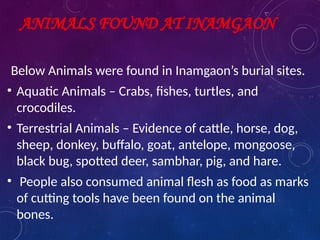 ANIMALS FOUND AT INAMGAON
Below Animals were found in Inamgaon’s burial sites.
• Aquatic Animals – Crabs, fishes, turtles, and
crocodiles.
• Terrestrial Animals – Evidence of cattle, horse, dog,
sheep, donkey, buffalo, goat, antelope, mongoose,
black bug, spotted deer, sambhar, pig, and hare.
• People also consumed animal flesh as food as marks
of cutting tools have been found on the animal
bones.
 