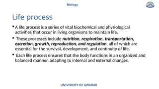 Chapter of biology on life process and importance | PPTX