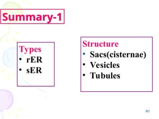 Cisterna Rer Chapter 4-2 Endomembrane system & anatomy | PPT