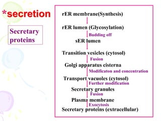 19
Secretary
proteins
Budding off
*secretion
Exocytosis
rER membrane(Synthesis)
rER lumen (Glycosylation)
Transition vesicles (cytosol)
Fusion
Golgi apparatus cisterna
Modificaton and concentration
Transport vacuoles (cytosol)
Further modification
Secretary granules
Plasma membrane
Fusion
Secretary proteins (extracellular)
sER lumen
 