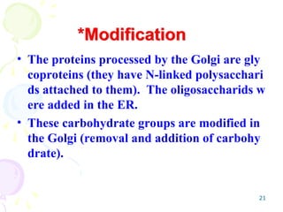 21
• The proteins processed by the Golgi are gly
coproteins (they have N-linked polysacchari
ds attached to them). The oligosaccharids w
ere added in the ER.
• These carbohydrate groups are modified in
the Golgi (removal and addition of carbohy
drate).
*Modification
 