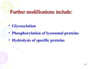 23
Further modifications include:
Further modifications include:
• Glycosylation
• Phosphorylation of lysosomal proteins
• Hydrolysis of specific proteins
 