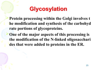 25
Protein processing within the Golgi involves t
he modification and synthesis of the carbohyd
rate portions of glycoproteins.
One of the major aspects of this processing is
the modification of the N-linked oligosacchari
des that were added to proteins in the ER.
Glycosylation
 