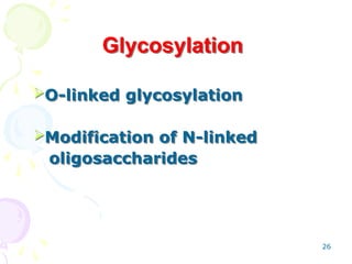 26
Glycosylation
O-linked glycosylation
Modification of N-linked
oligosaccharides
 