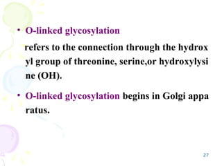 27
• O-linked glycosylation
refers to the connection through the hydrox
yl group of threonine, serine,or hydroxylysi
ne (OH).
• O-linked glycosylation begins in Golgi appa
ratus.
 
