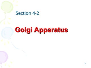 3
Golgi Apparatus
Golgi Apparatus
Section 4-2
 