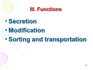 35
III. Functions
• Secretion
• Modification
• Sorting and transportation
 