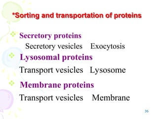 36
*Sorting and transportation of proteins
 Secretory proteins
Secretory vesicles Exocytosis
 Lysosomal proteins
Transport vesicles Lysosome
 Membrane proteins
Transport vesicles Membrane
 