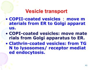 41
Vesicle transport
• COPII-coated vesicles ： move m
aterials from ER to Golgi apparat
us.
• COPI-coated vesicles: move mate
rials from Golgi apparatus to ER.
• Clathrin-coated vesicles: from TG
N to lysosomes/ receptor mediat
ed endocytosis.
 