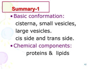 42
•Basic conformation:
cisterna, small vesicles,
large vesicles.
cis side and trans side.
•Chemical components:
proteins & lipids
Summary-1
 