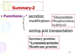 43
• Functions: * secretion
modification
sorting and transportation
Summary-2
*Glycosylation
Phosphorylation
hydrolysis
Secretary proteins
*Lysosomal proteins
Membrane proteins
 
