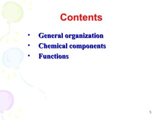 5
Contents
• General organization
General organization
• Chemical components
Chemical components
• Functions
Functions
 
