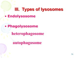 51
• Endolysosome
• Phagolysosome
III. Types of lysosomes
heterophagosome
autophagosome
 