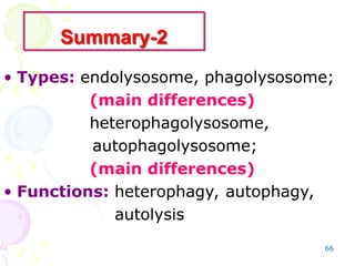 66
Summary-2
• Types: endolysosome, phagolysosome;
(main differences)
heterophagolysosome,
autophagolysosome;
(main differences)
• Functions: heterophagy, autophagy,
autolysis
 