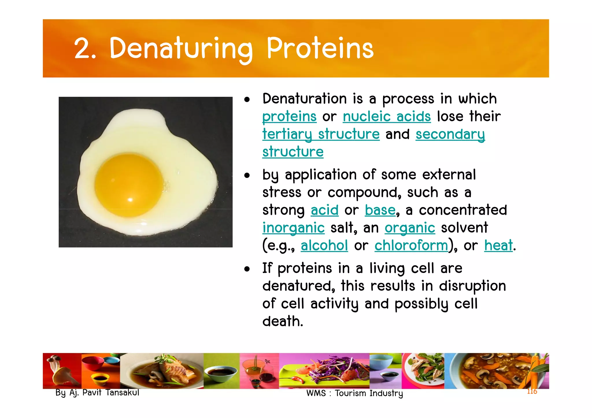 2. Denaturing Proteins
• Denaturation is a process in which
proteins or nucleic acids lose their
tertiary structure and secondary
structure
• by application of some external
stress or compound, such as a
strong acid or base, a concentrated
By Aj. Pavit Tansakul WMS : Tourism Industry
strong acid or base, a concentrated
inorganic salt, an organic solvent
(e.g., alcohol or chloroform), or heat.
• If proteins in a living cell are
denatured, this results in disruption
of cell activity and possibly cell
death.
116
 