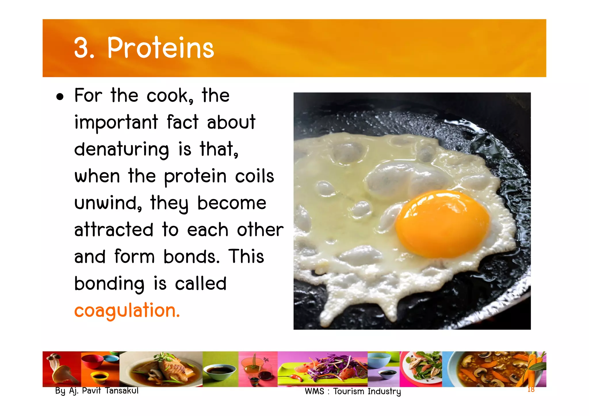 3. Proteins
• For the cook, the
important fact about
denaturing is that,
when the protein coils
unwind, they become
By Aj. Pavit Tansakul WMS : Tourism Industry
unwind, they become
attracted to each other
and form bonds. This
bonding is called
coagulation.
18
 