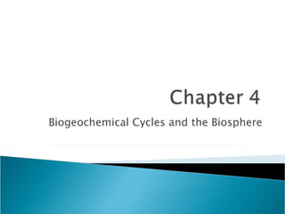 Biogeochemical Cycles and the Biosphere 