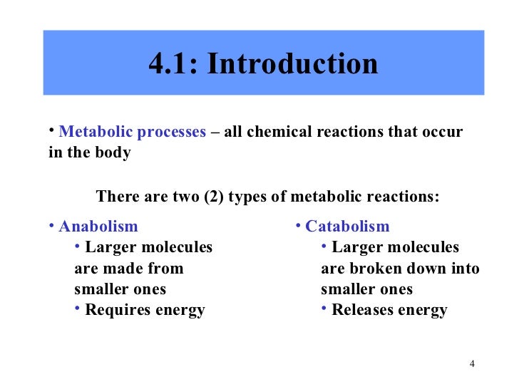 Chapter 4 Cellular Metabolism