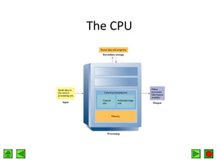 The CPU

 