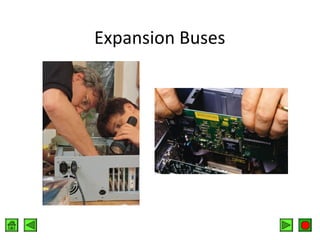 Expansion Buses

 