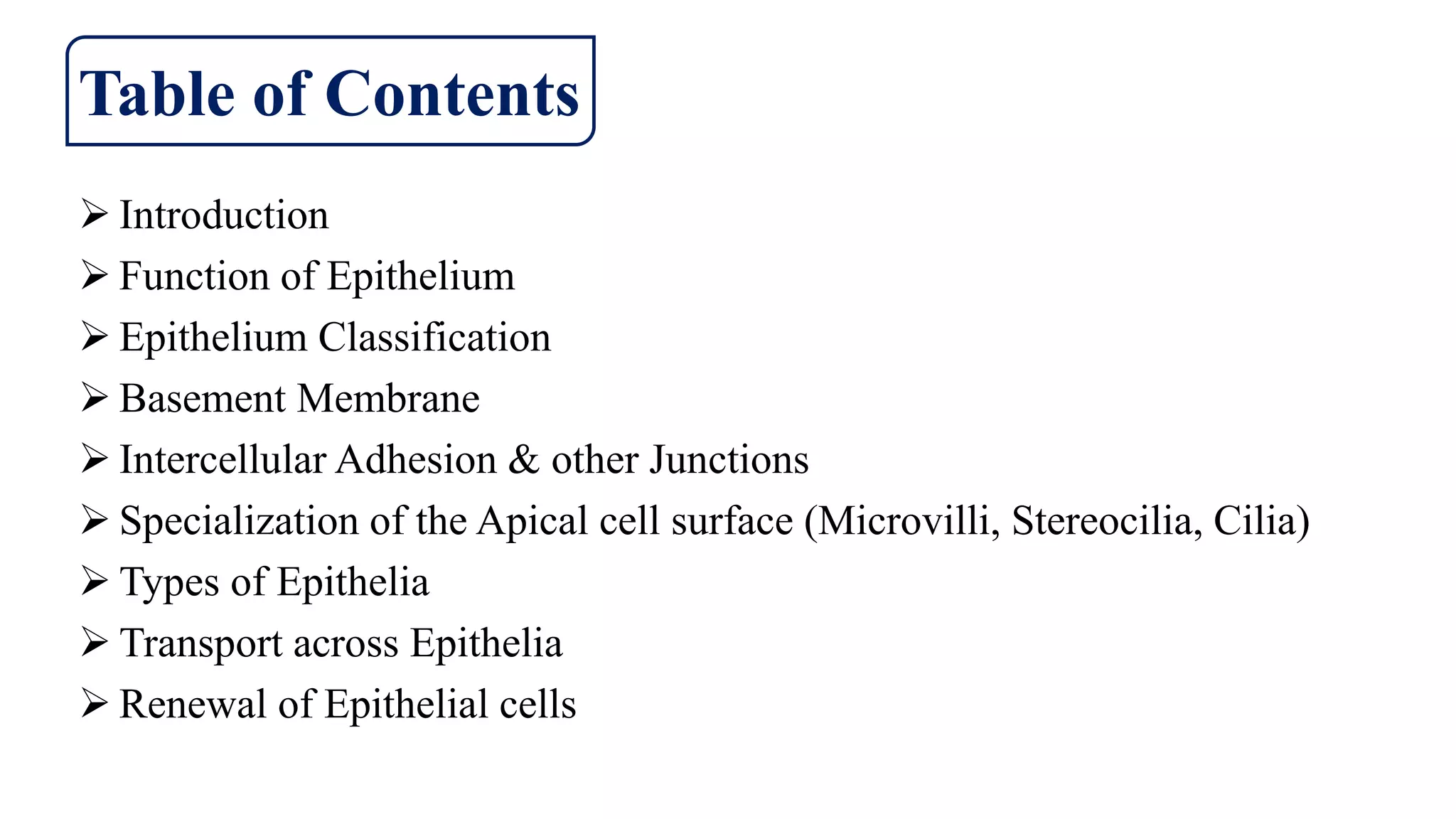 Epithelial Tissue Histology | PPTX