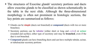  The structures of Exocrine glands' secretory portions and ducts
allow exocrine glands to be classified as shown schematically in
the table in the next slide. Although the three-dimensional
morphology is often not prominent in histologic sections, the
key points are summarized as follows:
 Glands can be simple (ducts not branched) or compound (ducts with two or more
branches).
 Secretory portions can be tubular (either short or long and coiled) or acinar
(rounded and saclike); either type of secretory unit may be branched, even if the
duct is not branched.
 Compound glands can have branching ducts and can have multiple tubular, acinar,
or tubuloacinar secretory portions
 