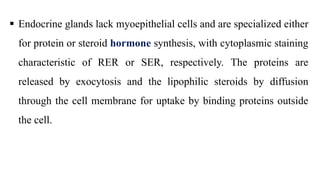  Endocrine glands lack myoepithelial cells and are specialized either
for protein or steroid hormone synthesis, with cytoplasmic staining
characteristic of RER or SER, respectively. The proteins are
released by exocytosis and the lipophilic steroids by diffusion
through the cell membrane for uptake by binding proteins outside
the cell.
 