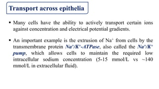  Many cells have the ability to actively transport certain ions
against concentration and electrical potential gradients.
 An important example is the extrusion of Na+ from cells by the
transmembrane protein Na+/K+-ATPase, also called the Na+/K+
pump, which allows cells to maintain the required low
intracellular sodium concentration (5-15 mmol/L vs ~140
mmol/L in extracellular fluid).
Transport across epithelia
 
