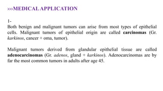›››MEDICALAPPLICATION
1-
Both benign and malignant tumors can arise from most types of epithelial
cells. Malignant tumors of epithelial origin are called carcinomas (Gr.
karkinos, cancer + oma, tumor).
Malignant tumors derived from glandular epithelial tissue are called
adenocarcinomas (Gr. adenos, gland + karkinos). Adenocarcinomas are by
far the most common tumors in adults after age 45.
 