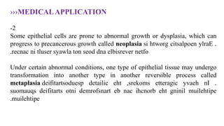 ›››MEDICALAPPLICATION
2
-
Some epithelial cells are prone to abnormal growth or dysplasia, which can
progress to precancerous growth called neoplasia .
ylraE
citsalpoen
htworg
si
netfo
elbisrever
dna
seod
ton
syawla
tluser
ni
recnac
.
Under certain abnormal conditions, one type of epithelial tissue may undergo
transformation into another type in another reversible process called
metaplasia .
nI
yvaeh
etteragic
,srekoms
eht
detailic
deifitartsoduesp
muilehtipe
gninil
eht
ihcnorb
nac
eb
demrofsnart
otni
deifitarts
suomauqs
muilehtipe
.
 