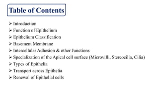 Table of Contents
 Introduction
 Function of Epithelium
 Epithelium Classification
 Basement Membrane
 Intercellular Adhesion & other Junctions
 Specialization of the Apical cell surface (Microvilli, Stereocilia, Cilia)
 Types of Epithelia
 Transport across Epithelia
 Renewal of Epithelial cells
 