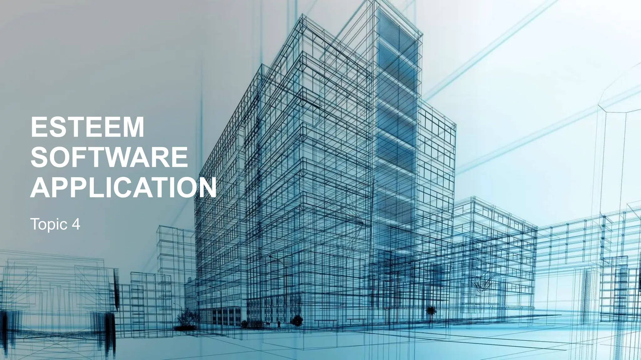 ESTEEM
SOFTWARE
APPLICATION
Topic 4
 