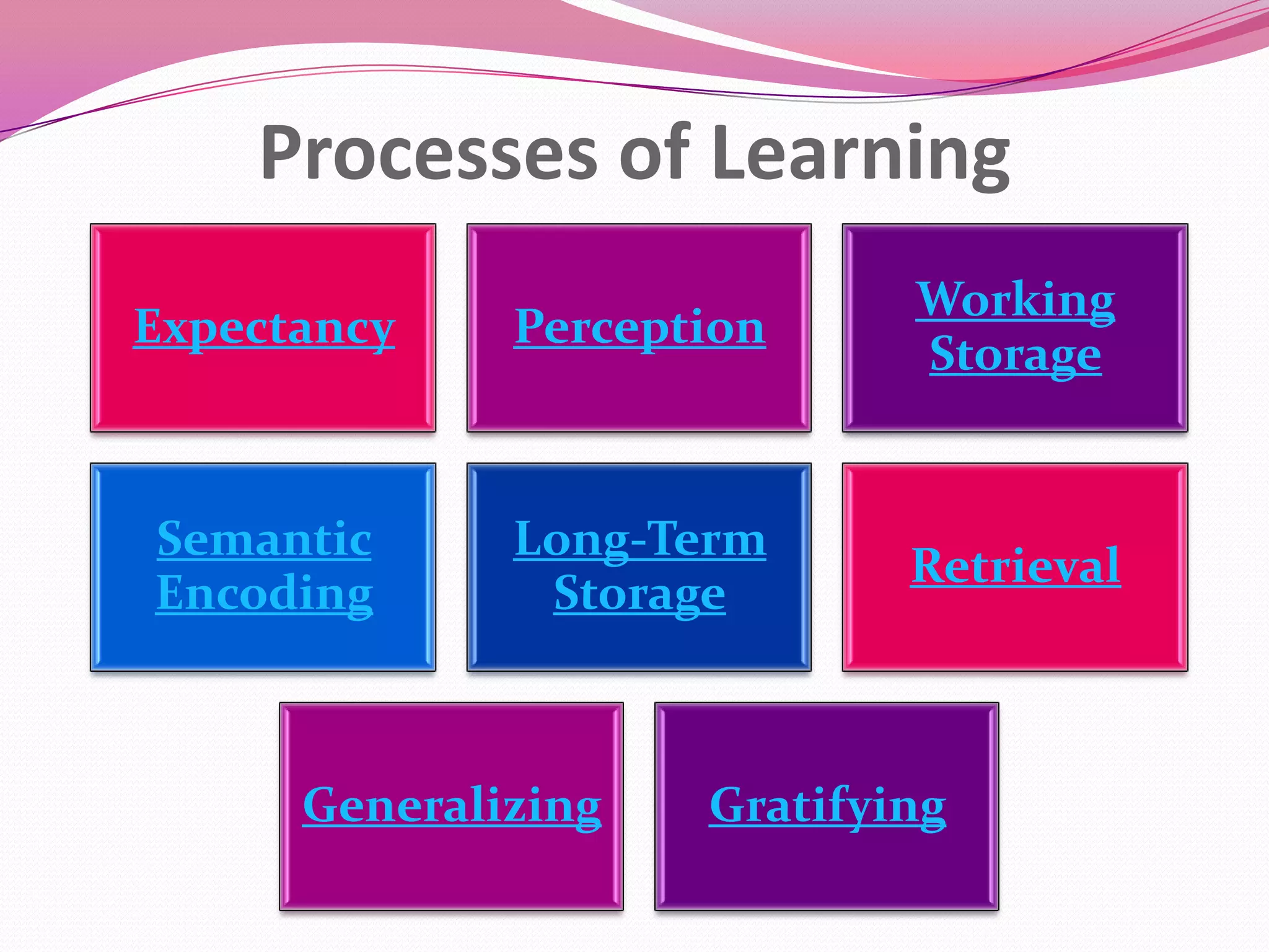 Processes of Learning
Expectancy

Perception

Working
Storage

Semantic
Encoding

Long-Term
Storage

Retrieval

Generalizing

Gratifying

 