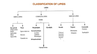CLASSIFICATION OF LIPIDS
4
 