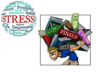 Chapter 4 managing stress and coping with loss | PPT