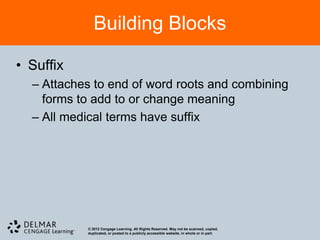 Building Blocks

• Suffix
  – Attaches to end of word roots and combining
    forms to add to or change meaning
  – All medical terms have suffix




           © 2012 Cengage Learning. All Rights Reserved. May not be scanned, copied,
           duplicated, or posted to a publicly accessible website, in whole or in part.
 
