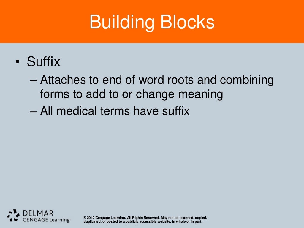 Chapter 4 Medical Terminology
