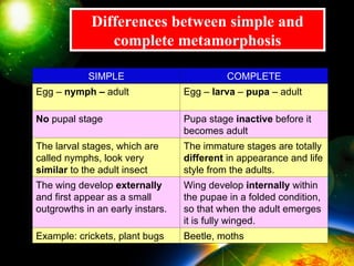 METAMORPHOSIS (1).ppt..................... | PPT