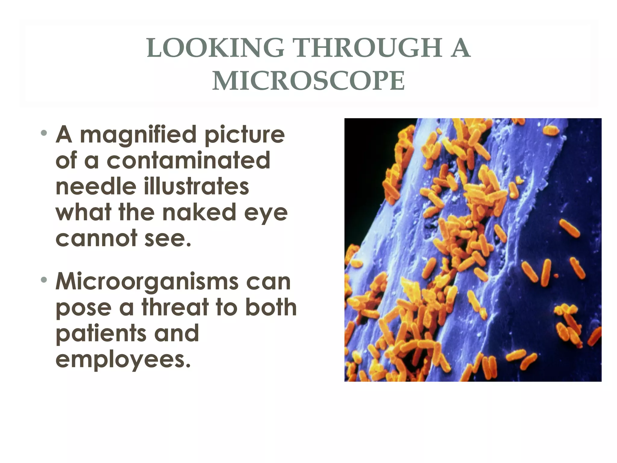 Chapter 4 Microbiology Ppt