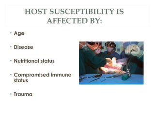Chapter 4 microbiology | PPT