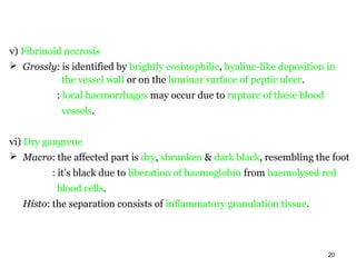 v) Fibrinoid necrosis
 Grossly: is identified by brightly eosinophilic, hyaline-like deposition in
            the vessel wall or on the luminar surface of peptic ulcer.
           : local haemorrhages may occur due to rupture of these blood
            vessels.


vi) Dry gangrene
 Macro: the affected part is dry, shrunken & dark black, resembling the foot
          : it’s black due to liberation of haemoglobin from haemolysed red
           blood cells.
   Histo: the separation consists of inflammatory granulation tissue.




                                                                           20
 