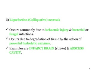 ii) Liquefaction (Colliquative) necrosis


 Occurs commonly due to ischaemic injury & bacterial or
  fungal infections.
 Occurs due to degradation of tissue by the action of
  powerful hydrolytic enzymes.
 Examples are INFARCT BRAIN (stroke) & ABSCESS
  CAVITY.



                                                           9
 