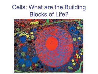 Cells: What are the Building
Blocks of Life?
 