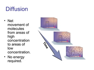 Diffusion
• Net
movement of
molecules
from areas of
high
concentration
to areas of
low
concentration.
• No energy
required.
 