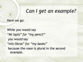 Can I get an example? Here we go: While you would say “ Mi lapiz” for “my pencil” you would say “ mis libros” for “my books” because the noun is plural in the second example. 