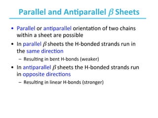 Biochemistry - Ch4 protein structure , and function | PDF